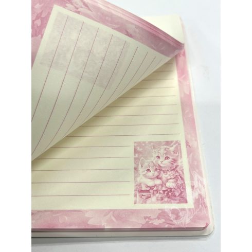 28- Notesz spirálos B6 Cats - 1902-2