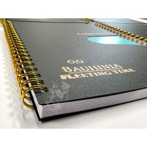 29 - Füzet A5 spirálos - 22H391