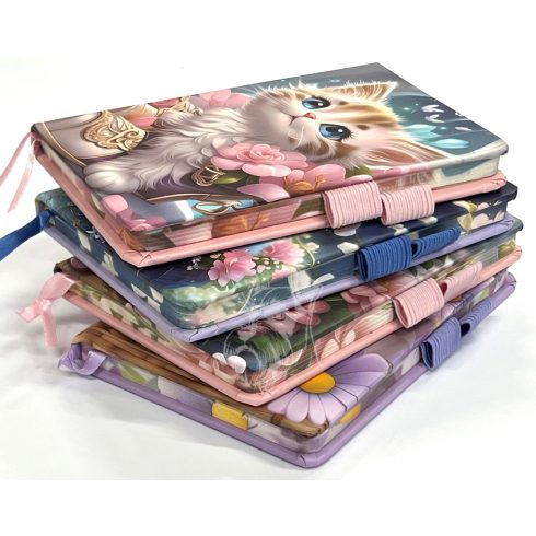 28- Notesz A6 Cicás - 6500-28