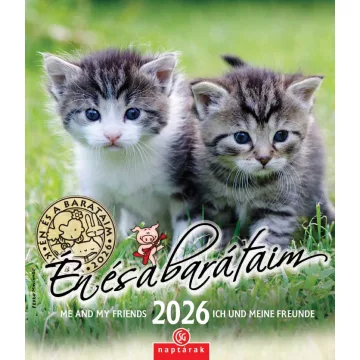 36- Falinaptár CSG 2026 - Én és a barátaim