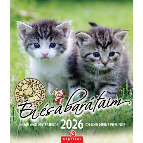 36- Falinaptár CSG 2026 - Én és a barátaim