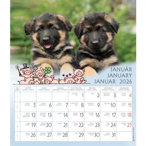 36- Falinaptár CSG 2026 - Én és a barátaim