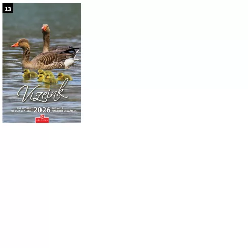 36- Falinaptár CSG 2026 - Kicsi (210x320mm) - 13 minával