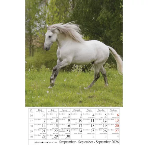 36- Falinaptár CSG 2026 - Kicsi (210x320mm) - 13 minával