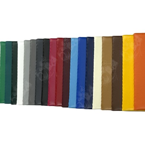 29- Okmánytartó Diák 10 x 7cm, 6 lapos