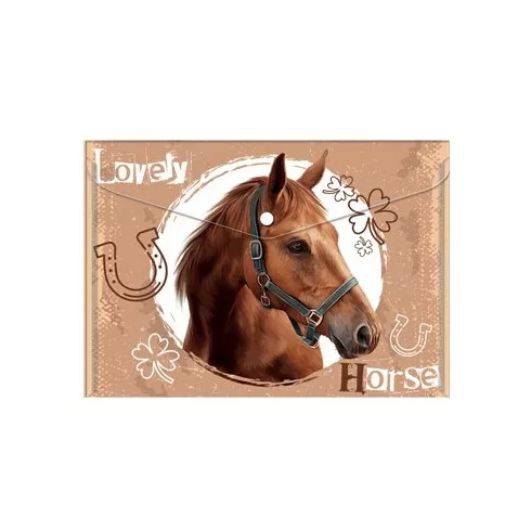 16- Patentos tasak A/5 PP, 6 mintával - 31047