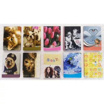 29- Butikkönyv A/6 Junior 96 lapos