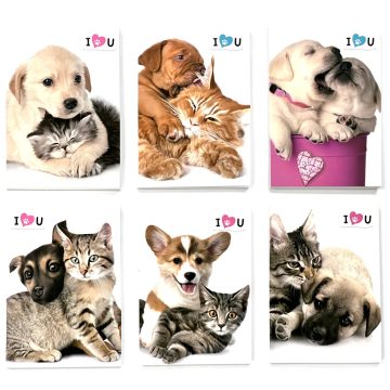 32- Jegyzettömb 60x84 mm Pets - 52986