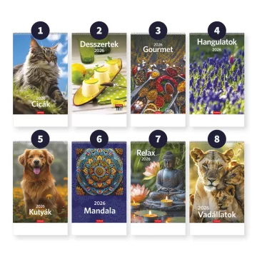 33- Falinaptár Toptimer T094 (220x320mm) 2026 - 8 mintával