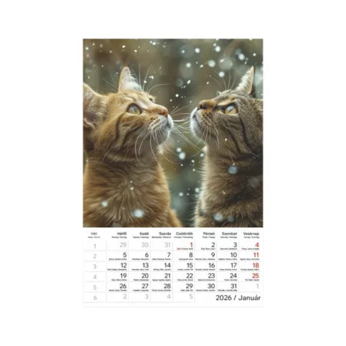 33- Falinaptár Toptimer T094 (220x320mm) 2026 - 8 mintával