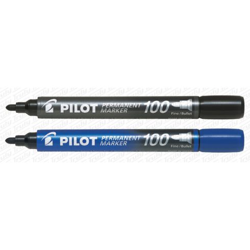 01- Pilot alkoholos filc marker 100