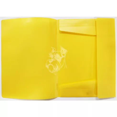 25- Gumis mappa A4 PVC - 6 színben