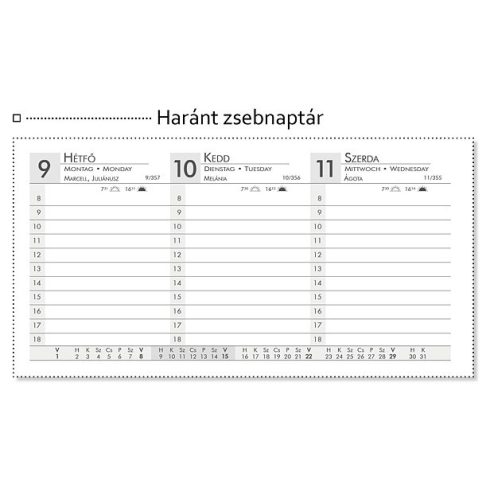24- Zsebnaptár haránt Premium Bright 2026 - 4 színben
